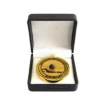 Медаль Сувенир "Челябинский метеорит"
